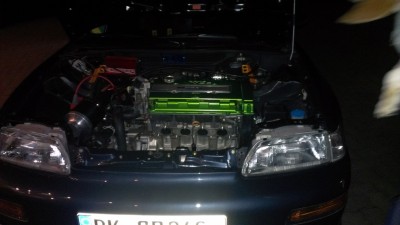 IMAG0224.jpg