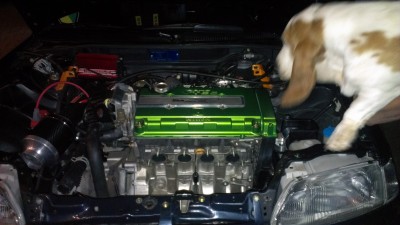 IMAG0225.jpg