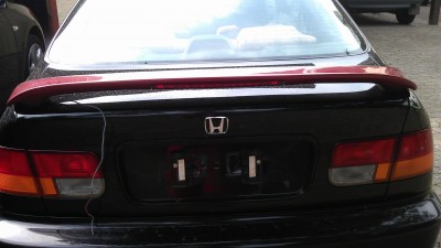 IMAG0247.jpg