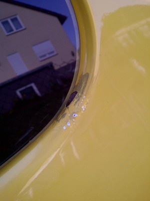 IMG-20120829-00996.jpg