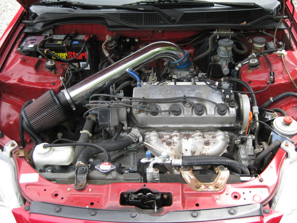 33421520007_large.jpg