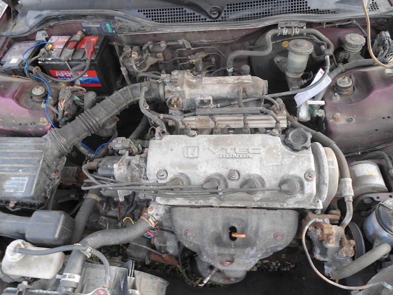civic qp 009.jpg