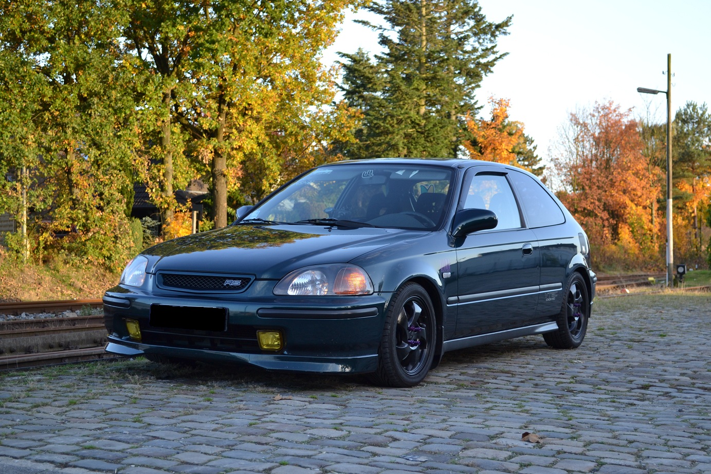DSC_0213.JPG