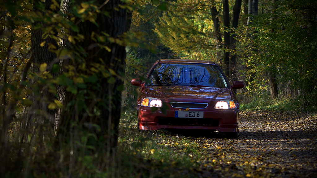 DSC_08631.jpg