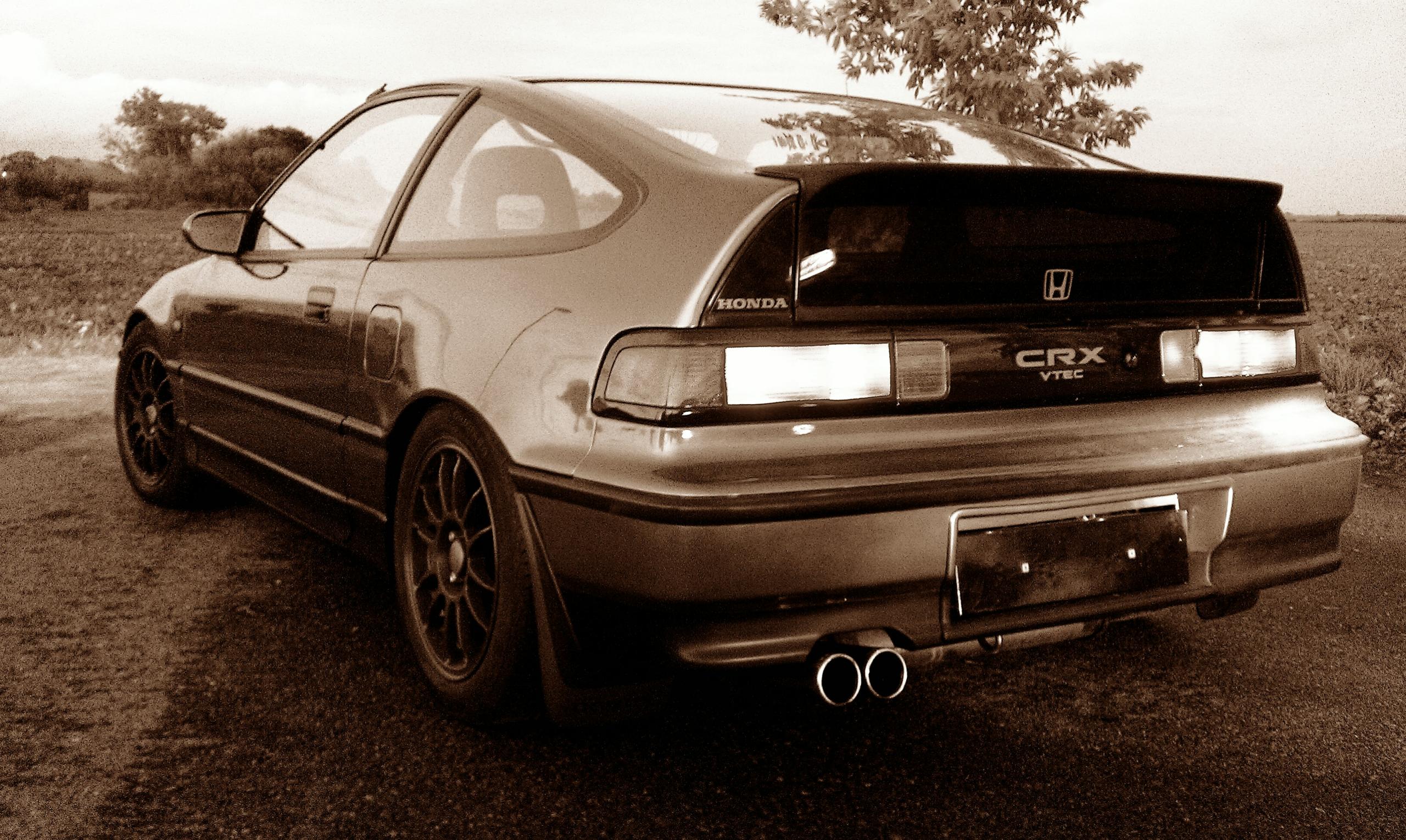 IMAG0883.jpg