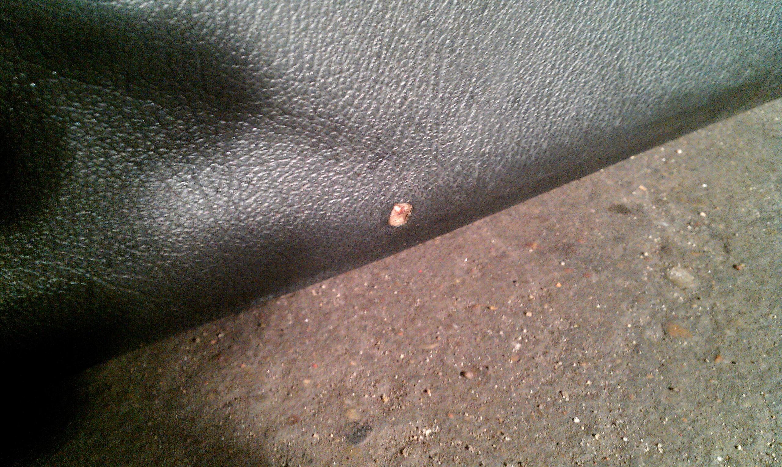 IMAG0944.jpg