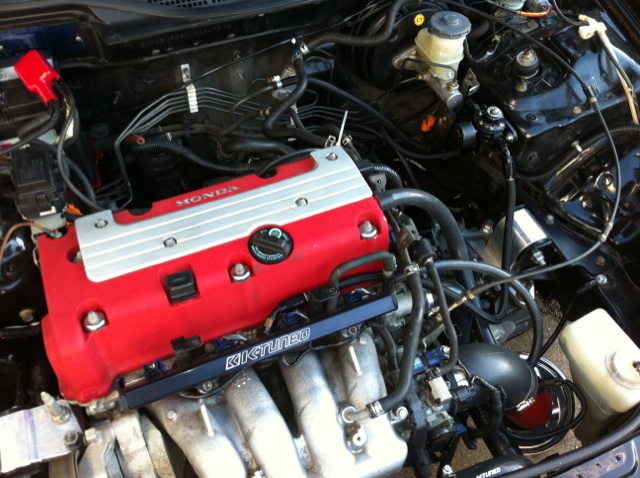 image1.jpeg