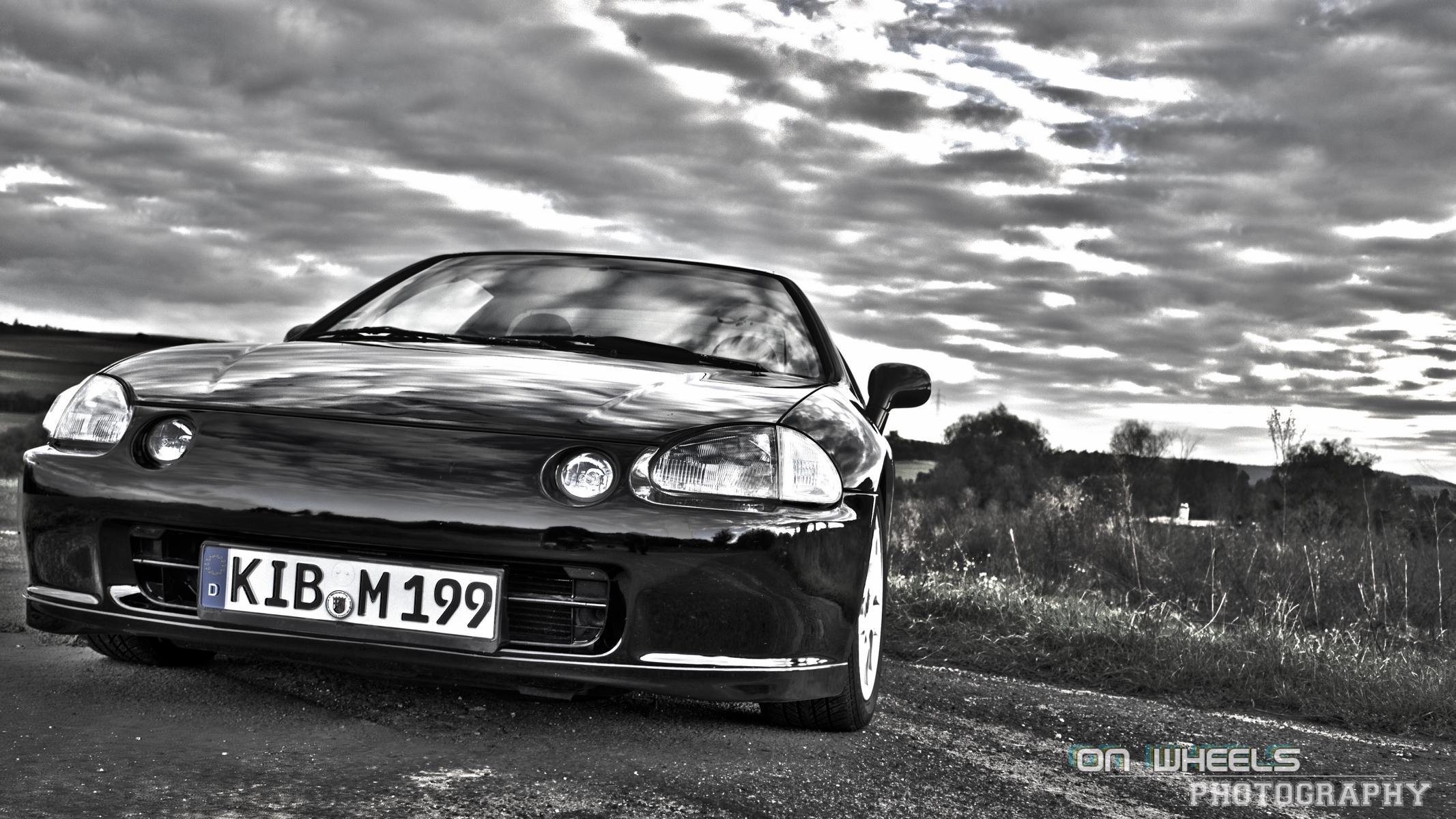 IMG_1596-Edit.JPG