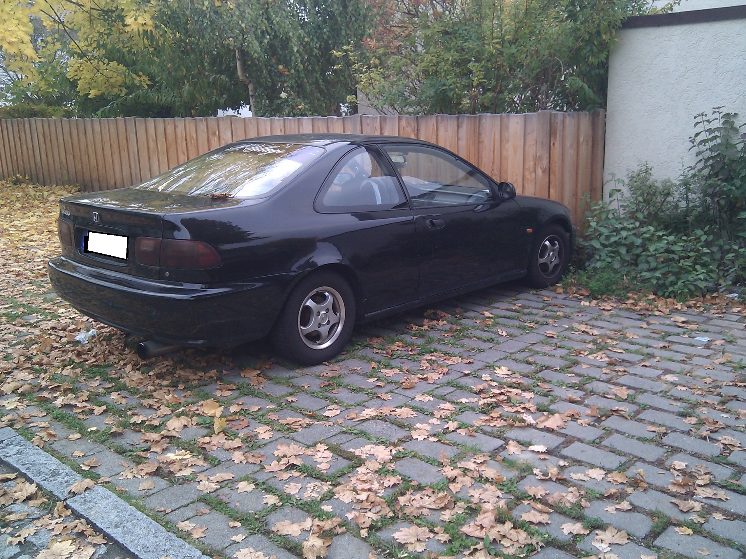 IMG_20121023_165115.jpg