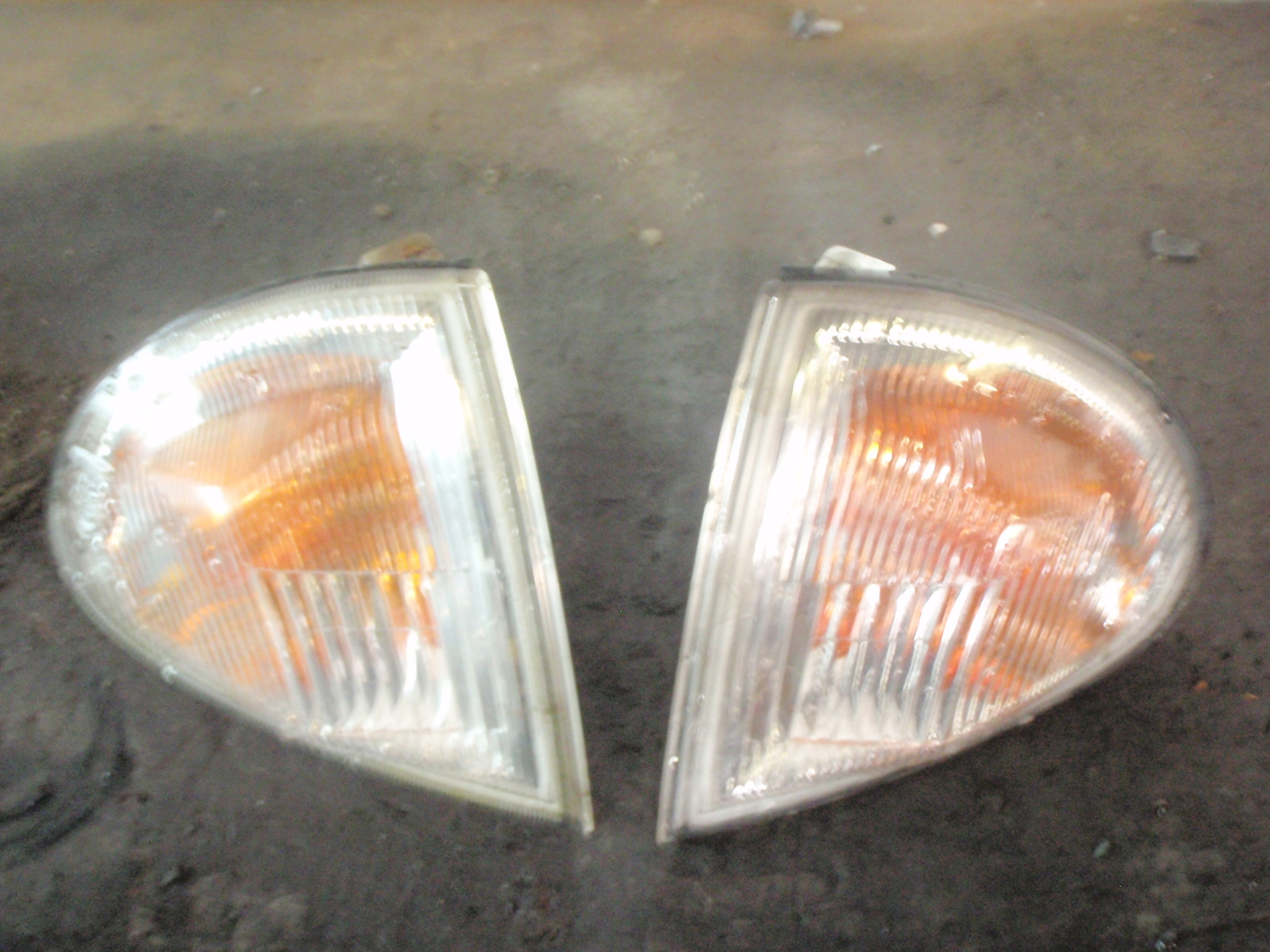 PA270033.JPG