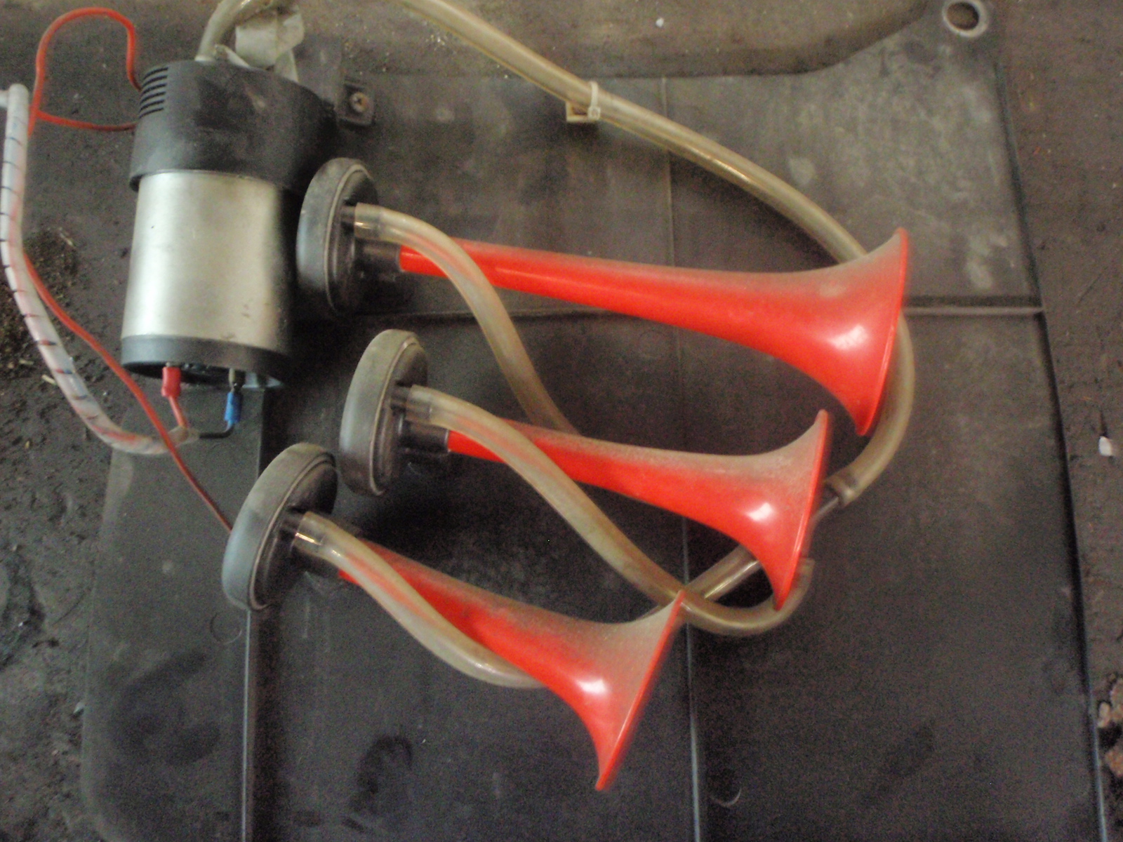 PA270036.JPG