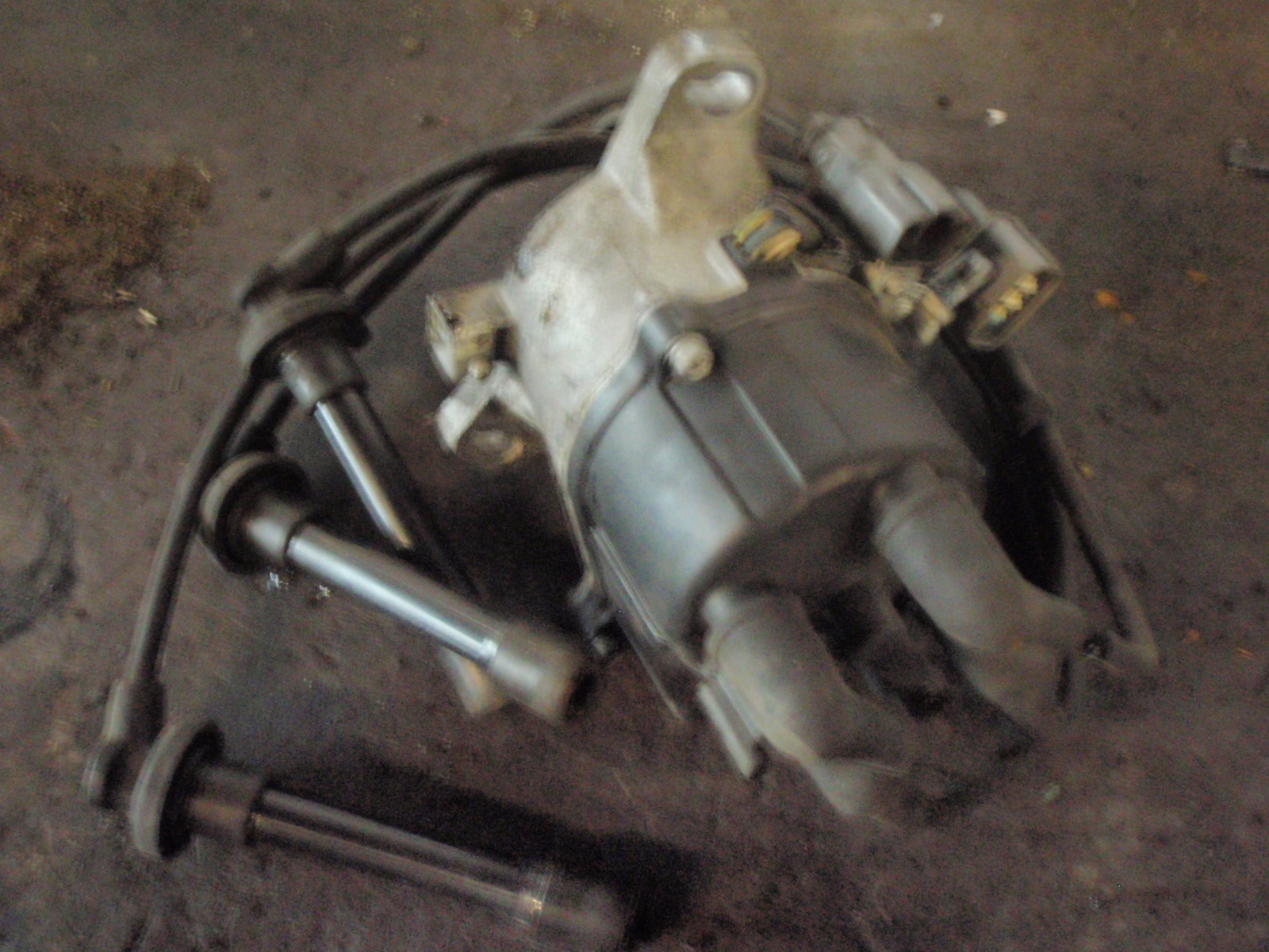 PA270039.JPG