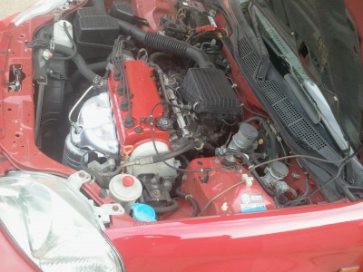 2012-10-18 09.52.36.jpg