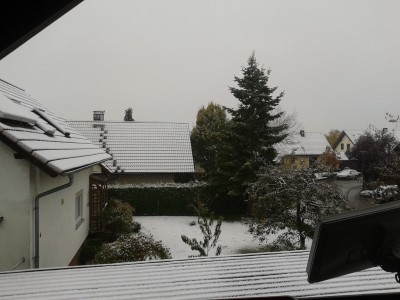 2012-10-27 09.21.35.jpg