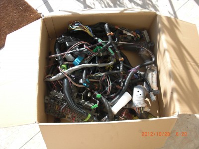 CIMG3174.JPG