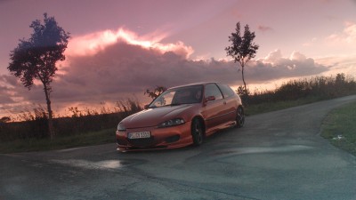 DSC_0354.jpg