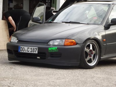 DSCF1266.JPG