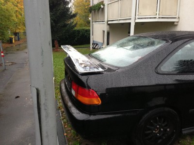Foto7.JPG