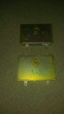 IMAG0206.jpg