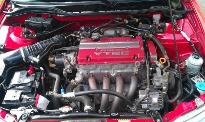 IMAG0469.jpg