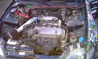 IMAG0690.jpg