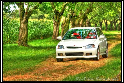 IMG_0778_79_80_tonemapped Kopie.jpg