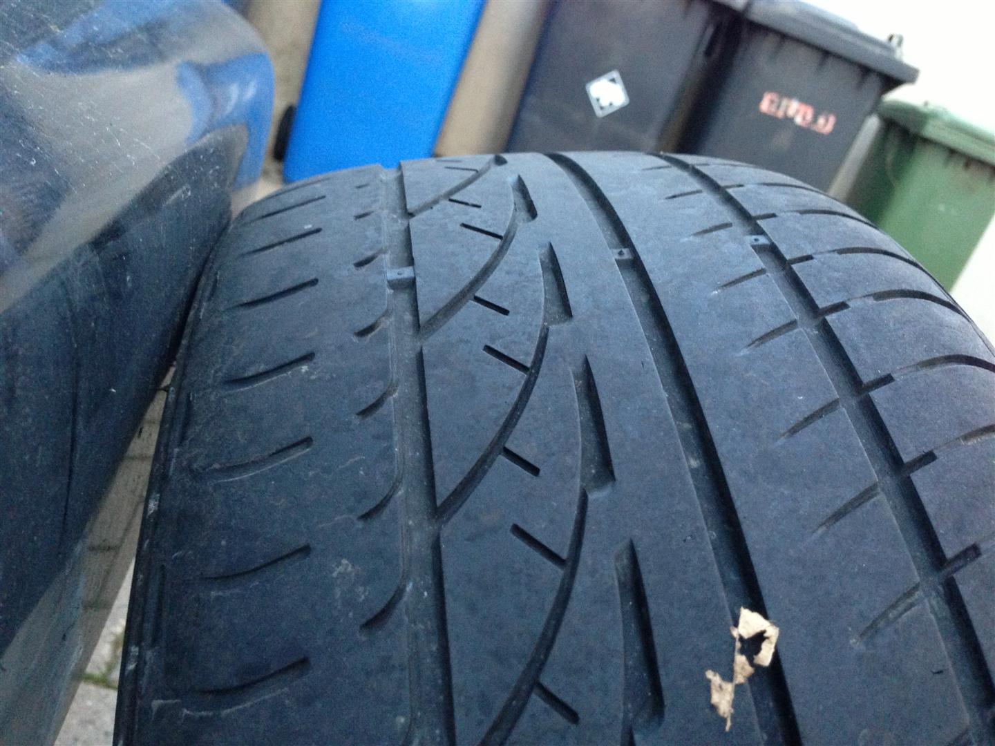 IMG_2036 (Groß).JPG