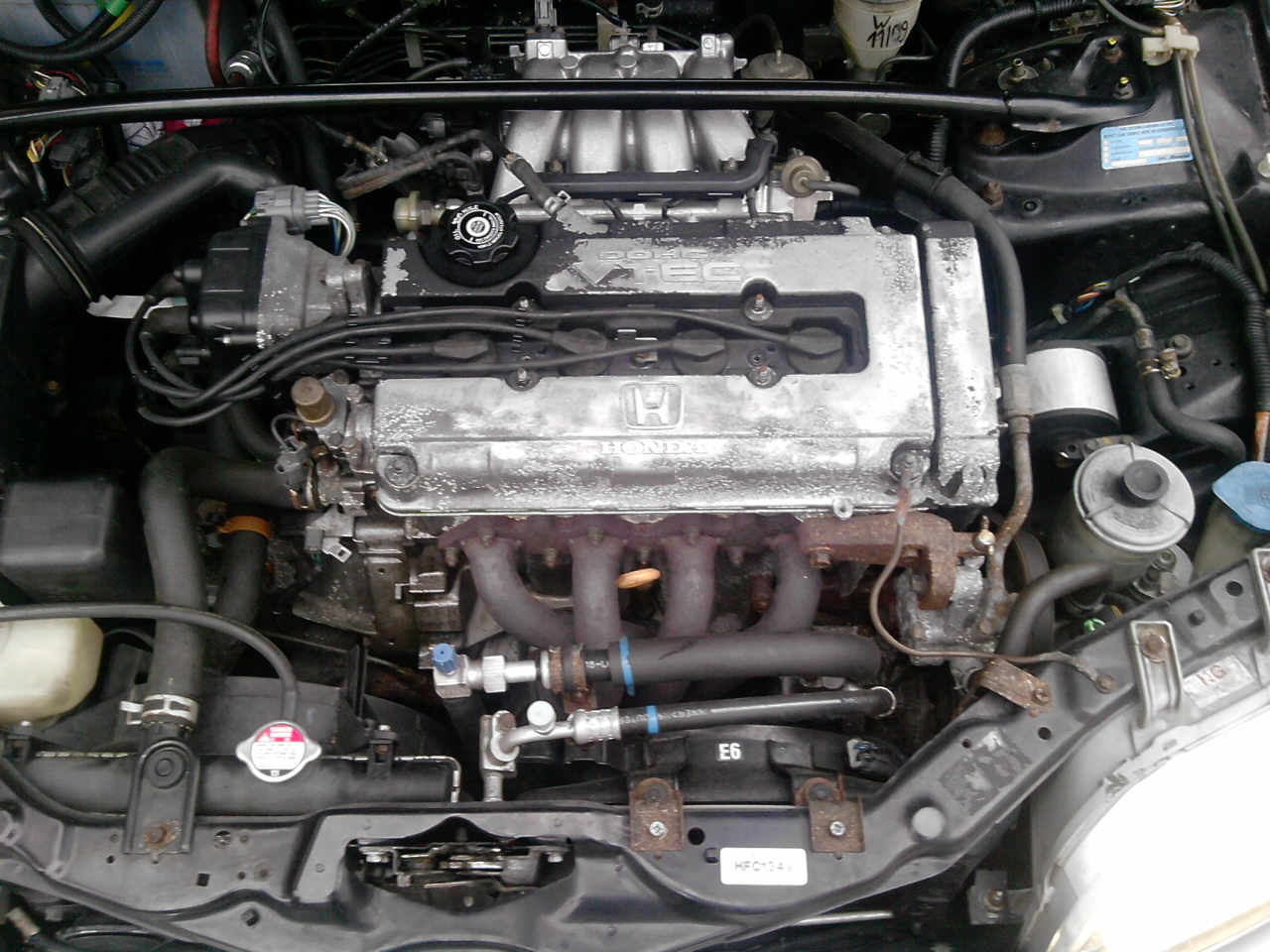 P231112_13.37_[03].jpg