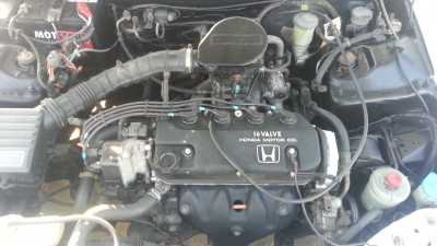 20121122_142145[1].jpg