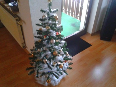 2012-11-26 11.17.41.jpg