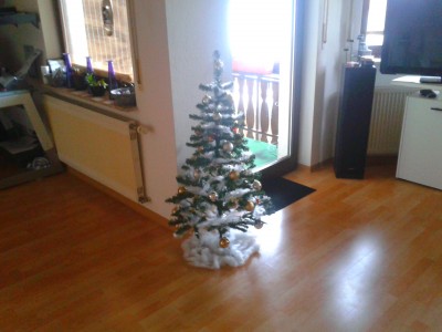 2012-11-26 11.18.03.jpg
