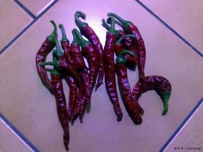 Chilis3.jpg