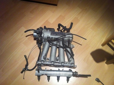 Foto7.JPG