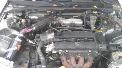 IMAG0051.jpg