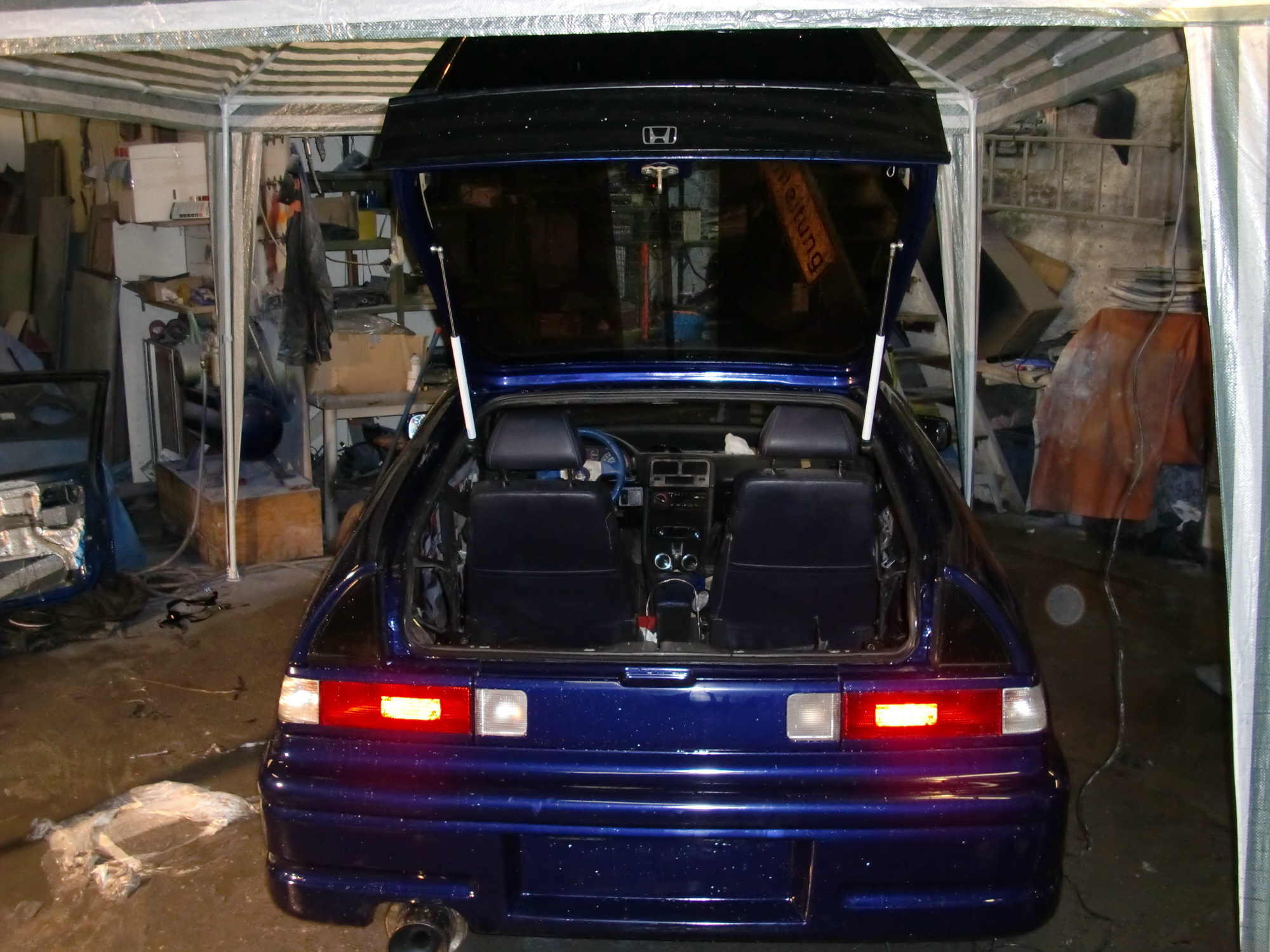 CIMG0510.JPG