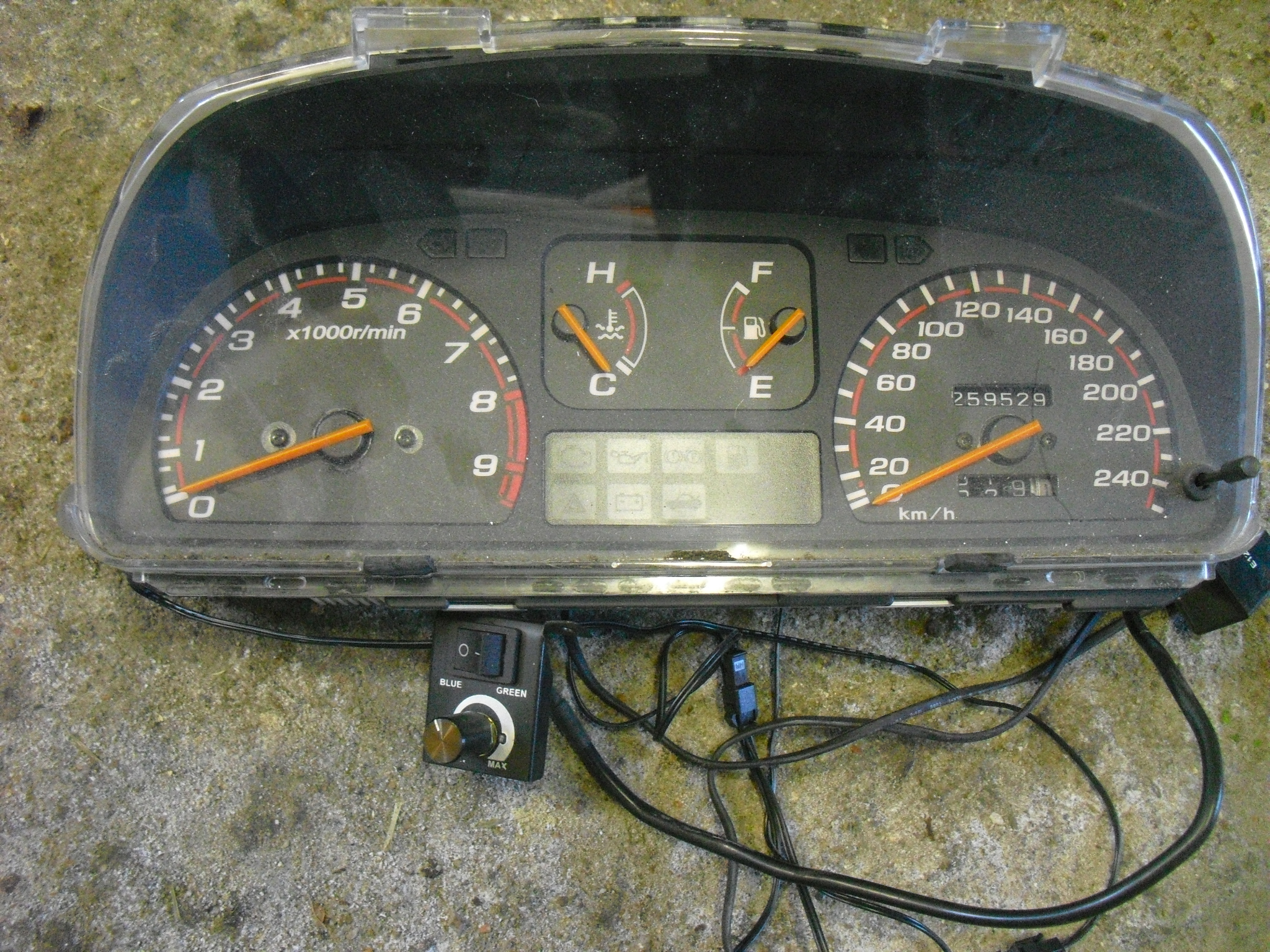 CIMG7691.JPG