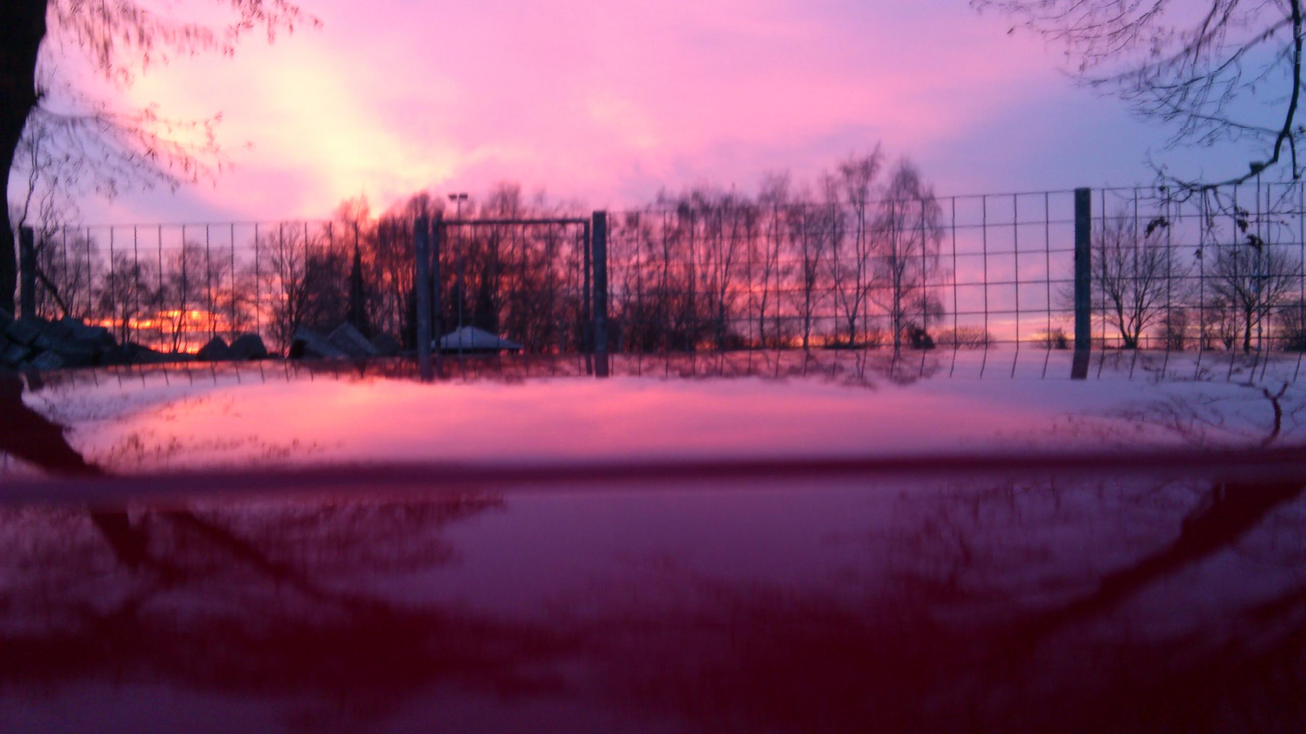 DSC_0391.jpg