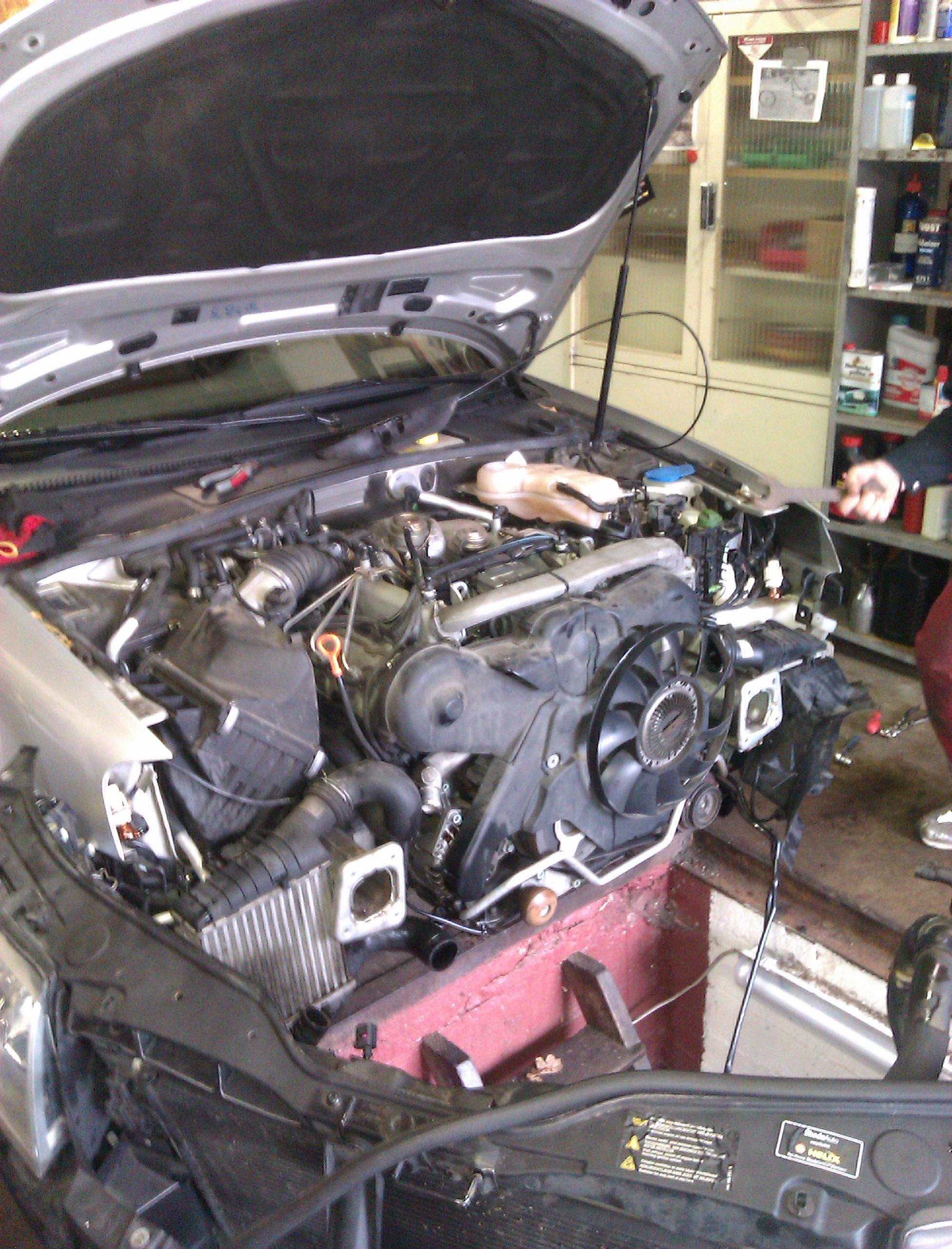 IMAG0444.jpg