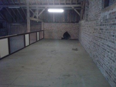 2012-12-30 15.57.03.jpg