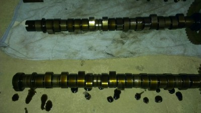 IMAG0211.jpg