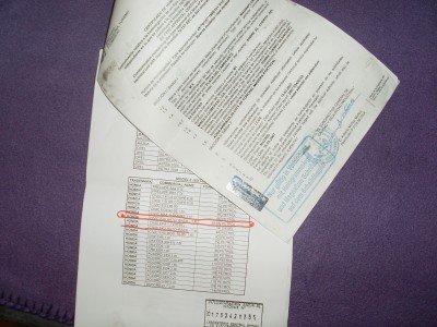 SL374922.JPG