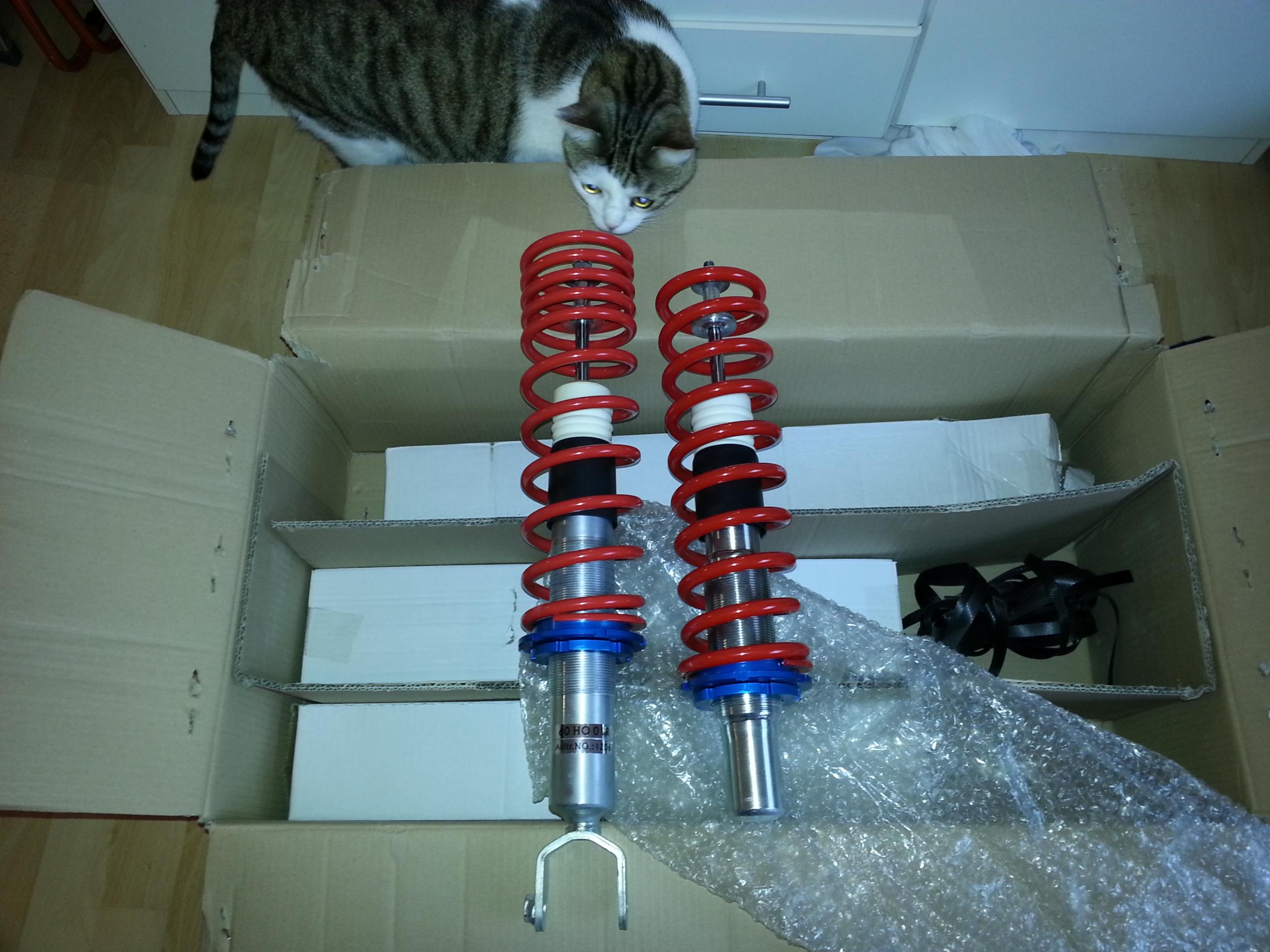 20130110_092233.jpg