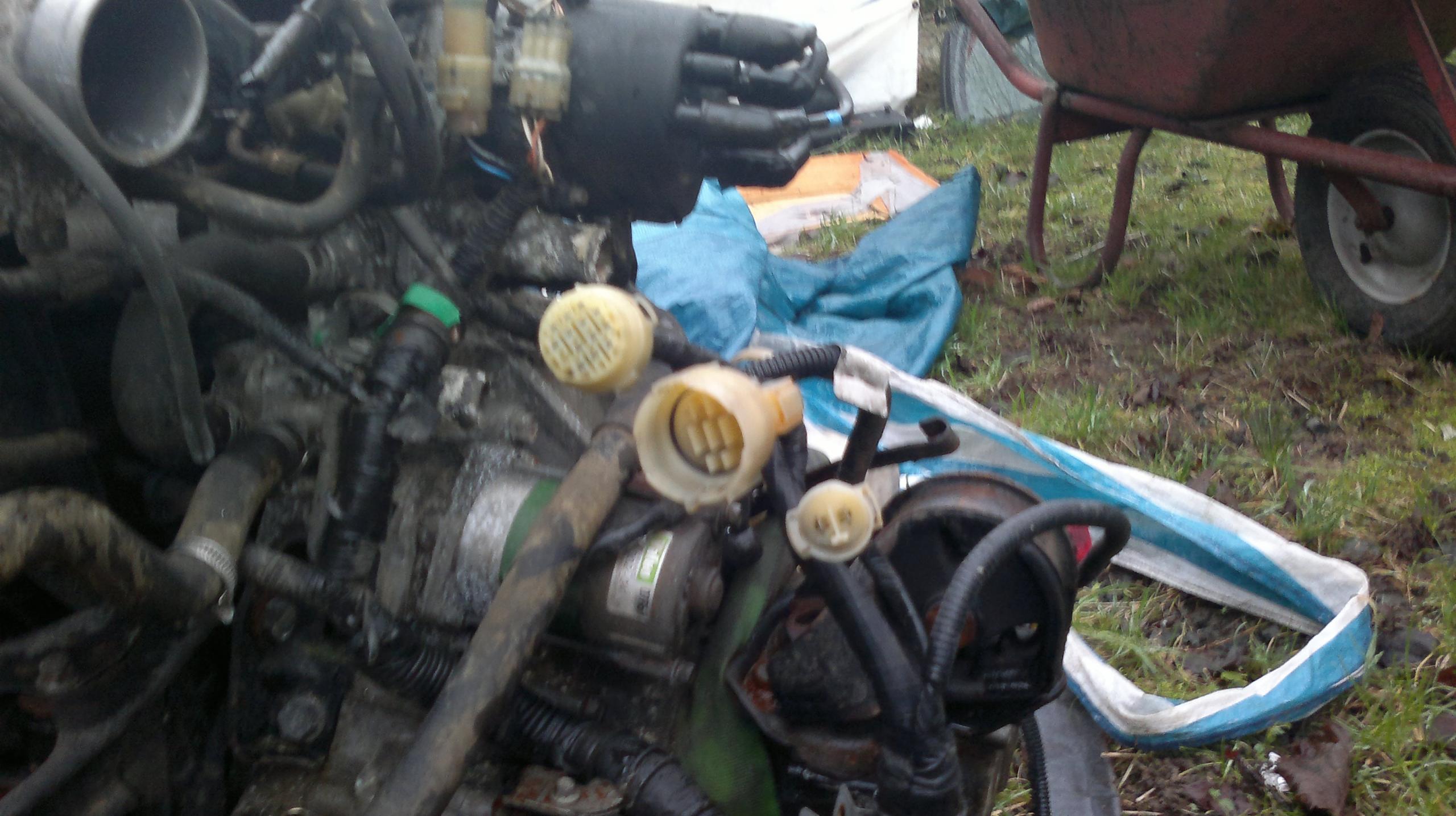 2013-01-04-151.jpg