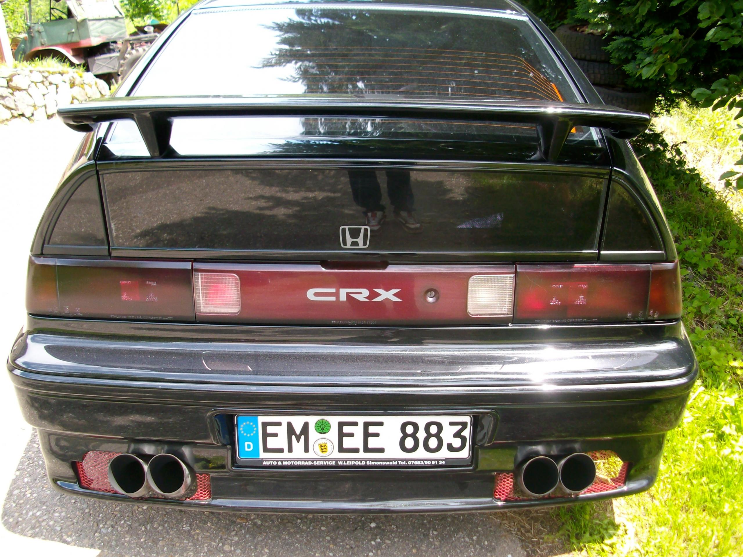 ALIM0673.JPG