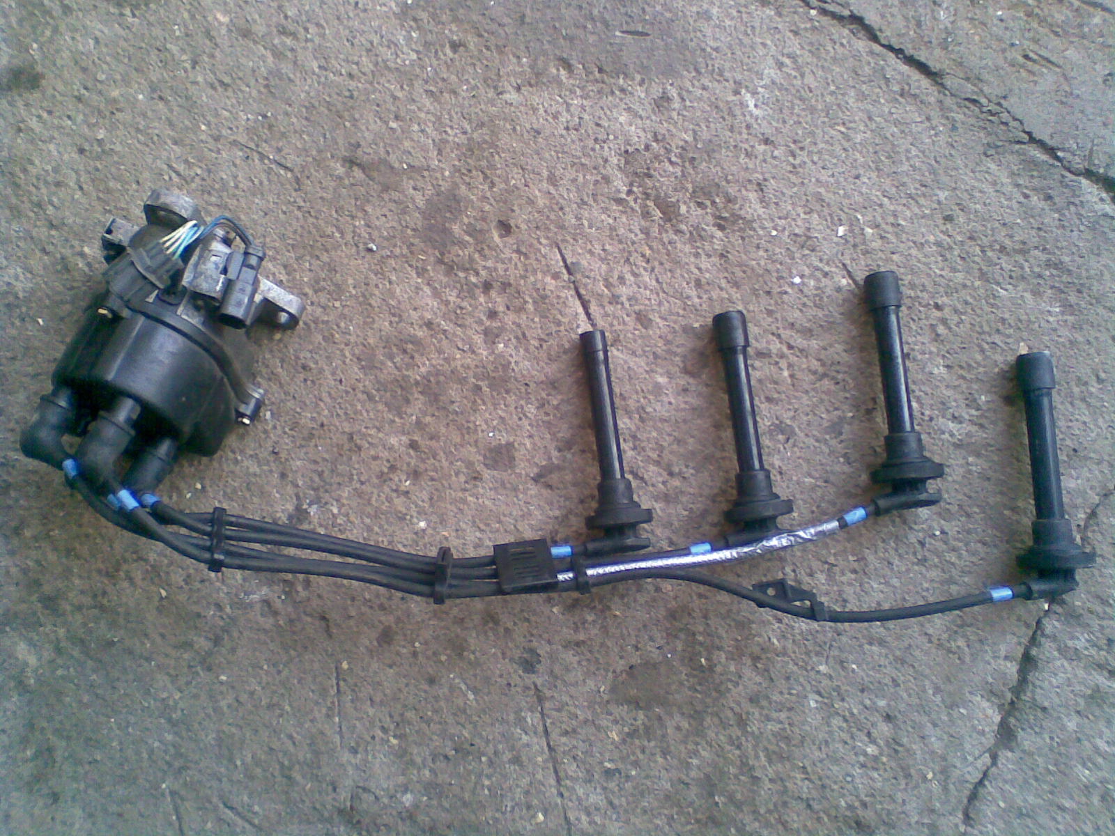 Bild009.jpg