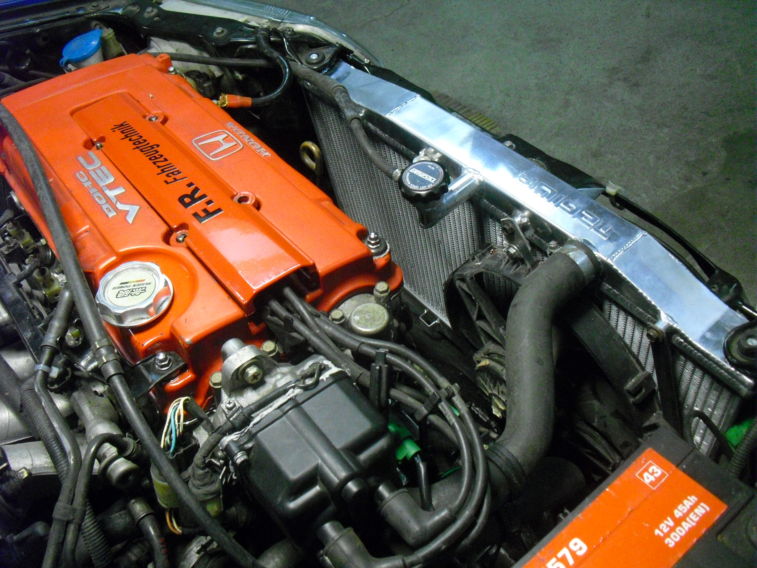 CIMG7865.JPG
