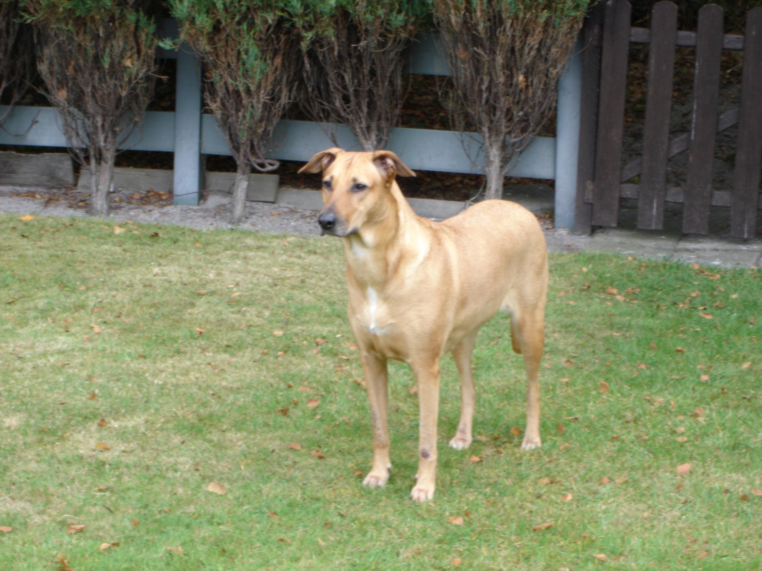DSC00057.JPG
