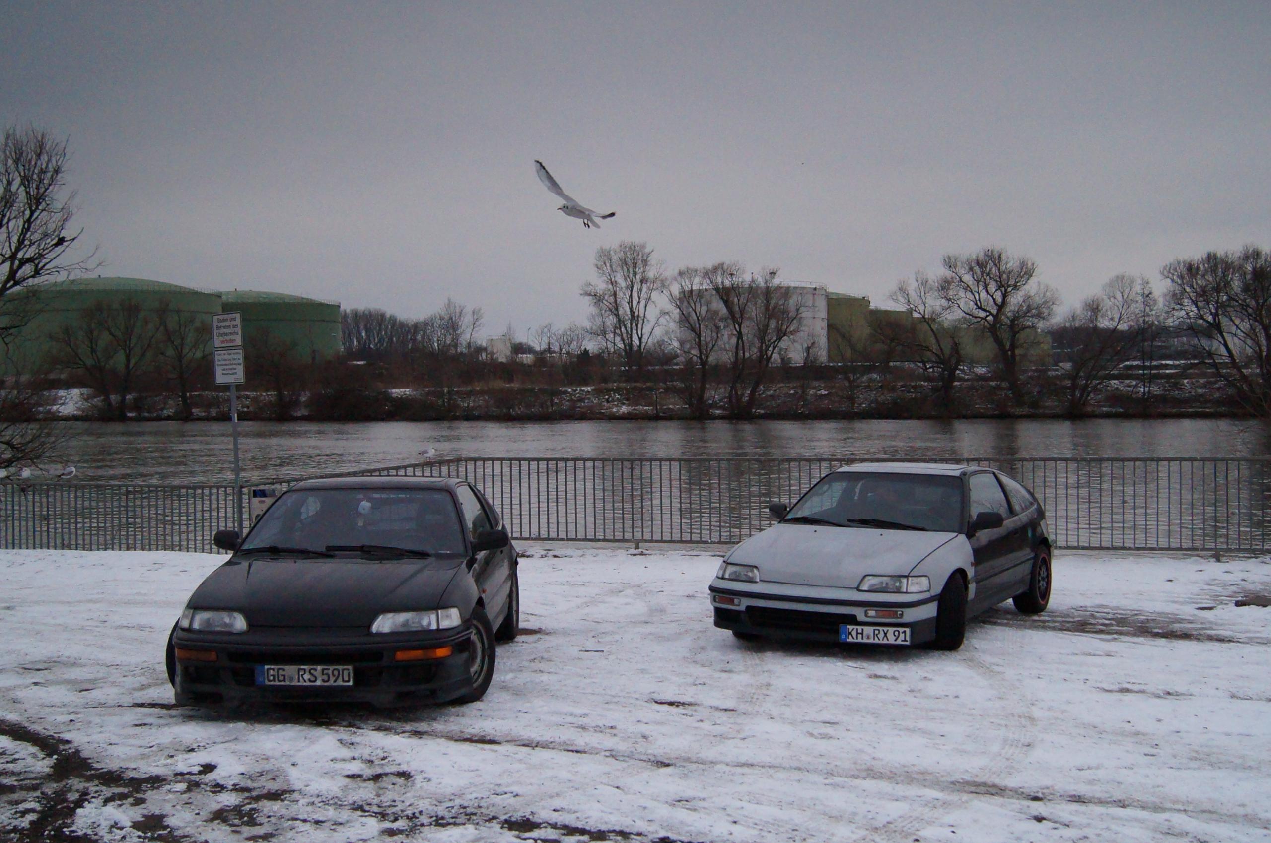 DSC00489.JPG