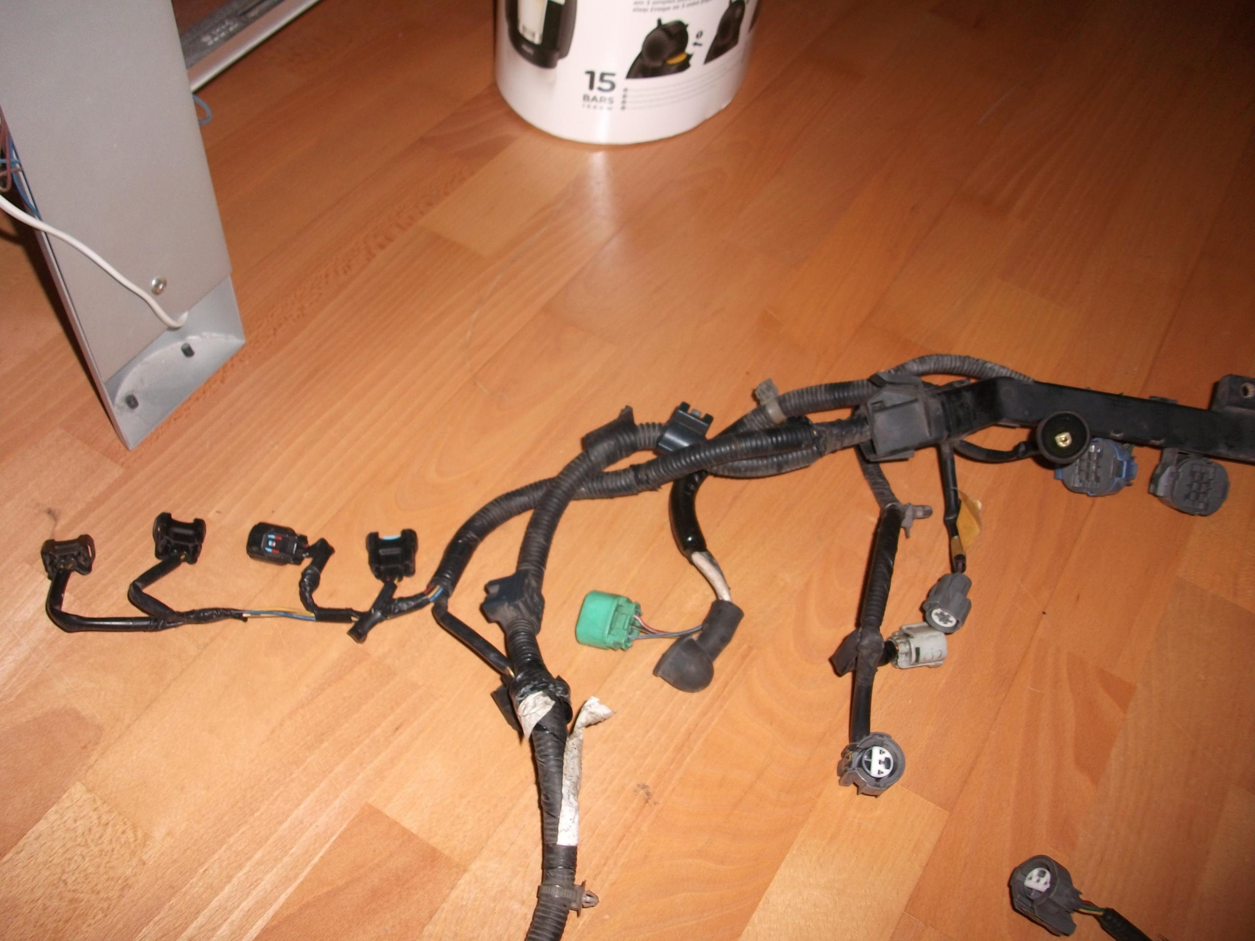 DSCF1452.JPG