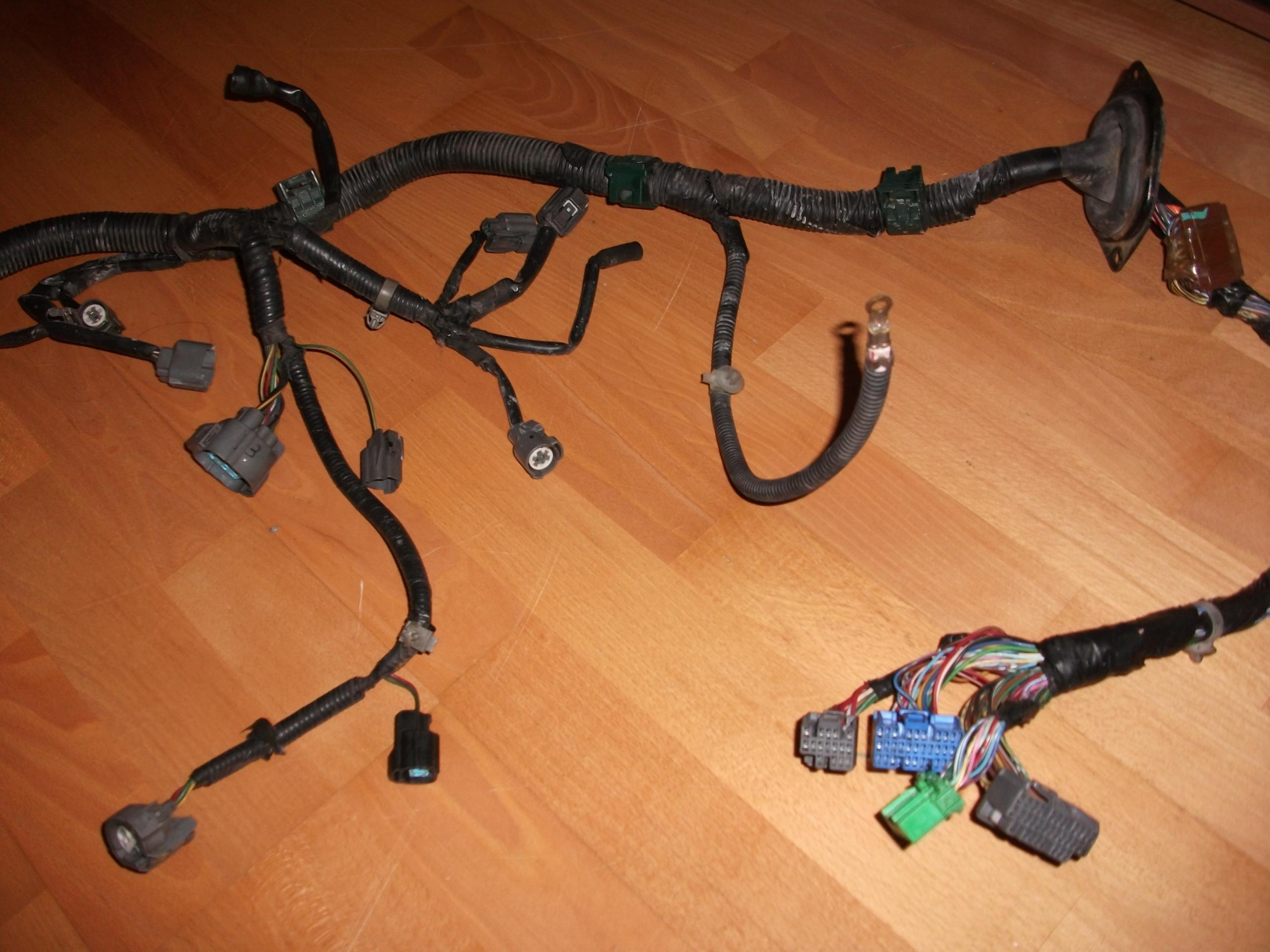 DSCF1453.JPG